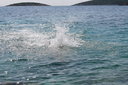 gal/cro 08/_thb_small-IMG_4923.JPG